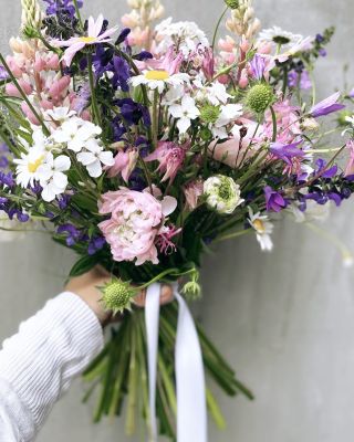 Louka pro nevěstu 11/5/2024 @dvurtuchotice Jak je ta příroda nevyzpytatelná. Minulý rok ve stejný den to byla...